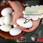 Egg Raw Goose Nutrition