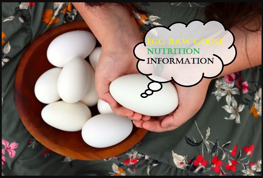 Egg Raw Goose Nutrition